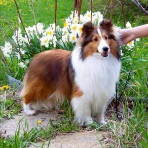 Meet your Posher, Farrah